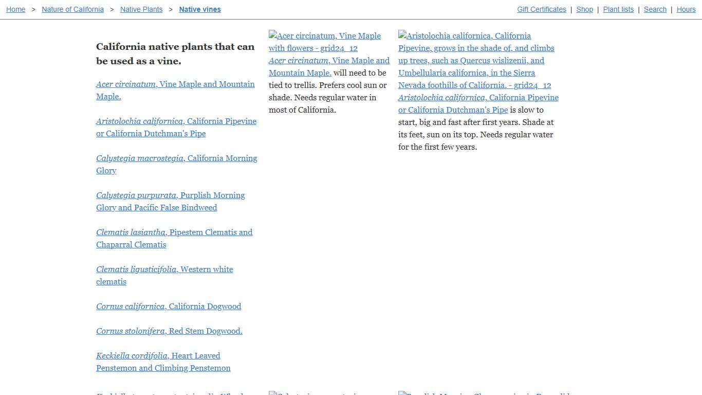 Pictures and descriptions of native vines