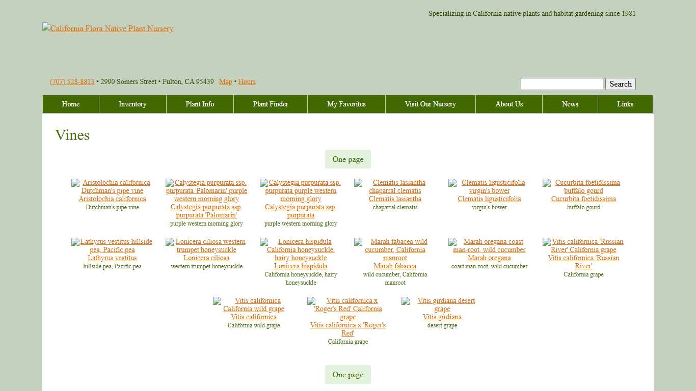 Vines | California Flora Nursery