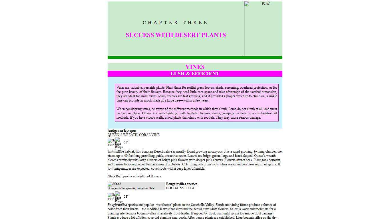 Lush & Efficient - Revised Edition