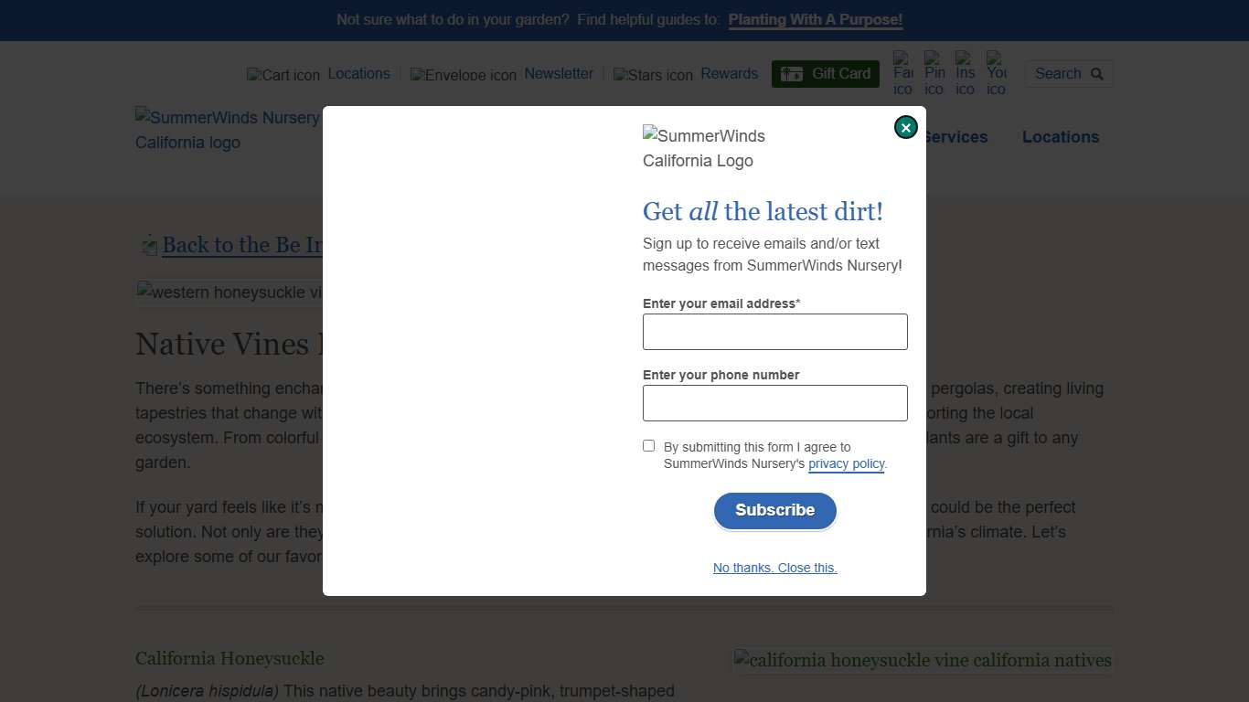 Native Vines For Early Fall Color | CA SummerWinds